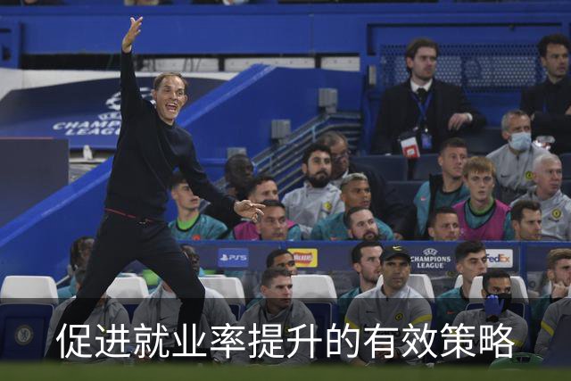 促进就业率提升的有效策略