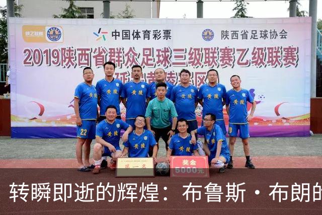 转瞬即逝的辉煌：布鲁斯·布朗的职业生涯跌宕